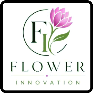 Website FI