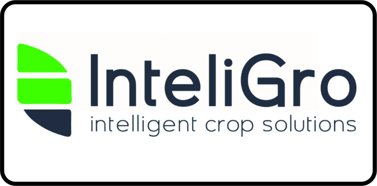Website Inteligro