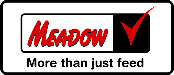 Website meadow